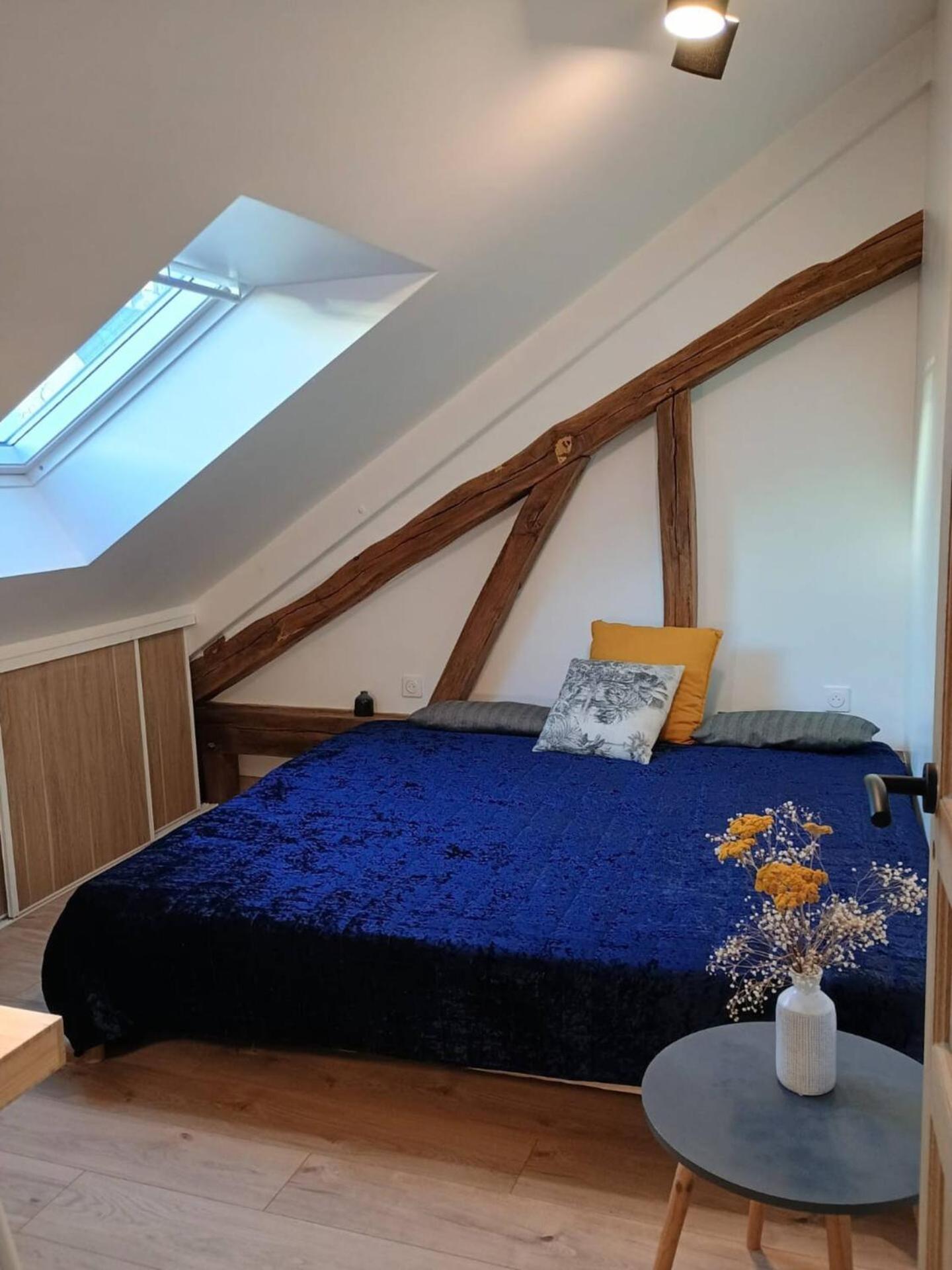 Domaine De Charme Au Coeur D'Orleans Classe 3 Etoiles - Bords De Loire - 21 Couchages Avec Parkings Prives 外观 照片